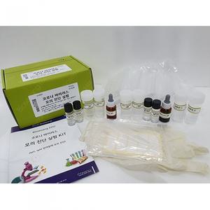 코로나 바이러스 모의 진단 실험 5인키트 ( 학습 실험용 )