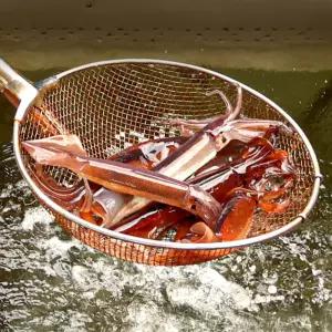 국내산 동해 통오징어 1kg(8-10미 내외) 급냉 초코오징어