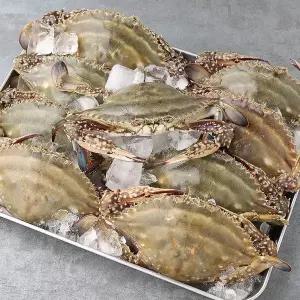 제철 봄 꽃게 활꽃게 알배기 암꽃게 3kg (12-18미)
