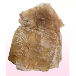 [더주] 껍질 벗겨 더 쫄깃한 몸통건오징어 250g(9~15미)