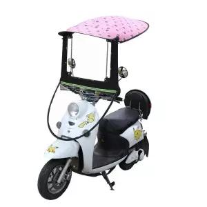 전문가용 오토바이 캐노피 스쿠터 덮개 바이크 우산 지붕 배달용 가림막 비가림막 차양