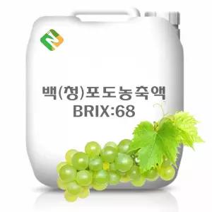 백 청포도농축액 25kg