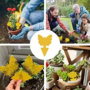 끈끈이 꽂아쓰는 초파리트랩 날벌레 날파리 벌레 퇴치 도구 해충 포획기