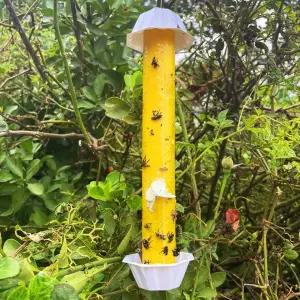 초파리 벌레 트랩 날파리 끈끈이 플라이스틱