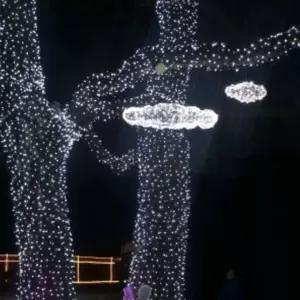 은하수 LED 지니전구 백색 투명선 500구 트리전구