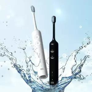 오아 덴티스윙 전동칫솔