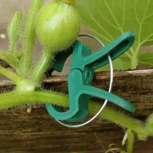 식물집게 식물고정 오이지지대 메론 오이 원예도구 10P 농업용품