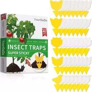 곰팡이 그낫 초파리 파리 날아다니는 곤충 포획 덫 식물 주방 실내/외 무독성 무취 반려동물 및 안전을