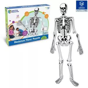 러닝리소스 인체골격퍼즐 대형 해부학 뼈 블럭 과학교구 병원놀이 15p조각 122cm