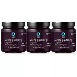 [셀러허브]청정원 유기농 블루베리쨈 300g x 3개 (S41269809)