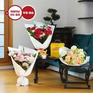 프리미엄 카네이션 꽃다발+리얼닥터 유산균 꽃배달 꽃배송