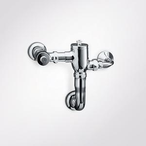 공중화장실 장애인용품 RSF100 ( 신체장애인용 대변기 수세밸브 ) // 로얄토토