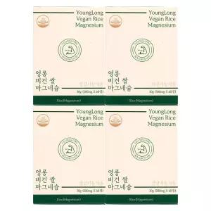 영롱 비건 쌀 마그네슘 500mg x 60정 4개 / 써클