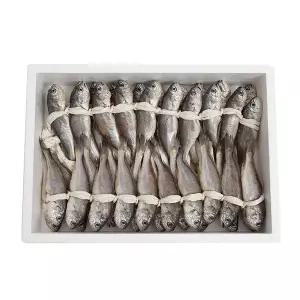 영광 법성포 굴비 소장대/40미(17-18cm내외)