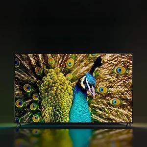 100인치 TV 대형티비 4K 교회 회의실 업소용 150인치 200인치