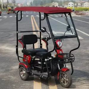 삼륜 전기 자전거 전기자전거 2인용 캐노피 어르신