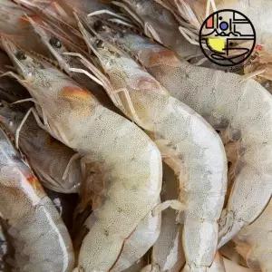 국내산 무항생제 흰다리새우 1kg 31미내외(냉동)