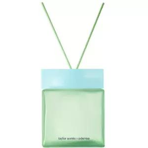 테일러센츠 실내 방향제 현관 침실 컬러 디퓨저 500ml