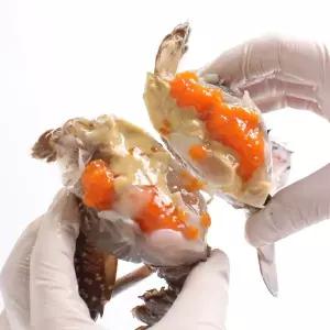 [해다원]서해안 봄 제철 활 암꽃게 소 2kg(10-12미/빙장/얼음포장)