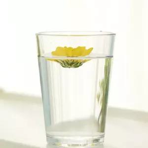 (힘찬)트라이탄컵 473ml 안깨지는 카페 대한민국 100112 물컵 투명 플라스틱 디저트 물잔 다회용 텀블러 아