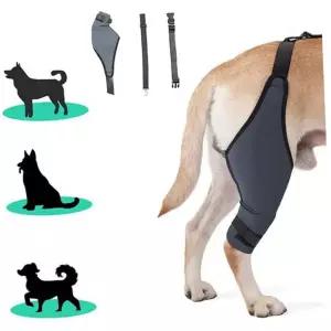 애견 관절 보호대 네오프렌 스트랩 반려견 강아지 관절 보호대 수술 다리 강아지산책 재활용품 산책 재활