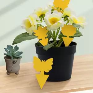 작은 화분 뿌리파리 날파리 총채벌레 초파리 약 퇴치 나방파리 뿌리파리