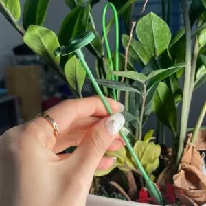 화초 화분 식물지지대 17cm 지지대 식물 꽃 토마토 식물 지지대 화분 꽃