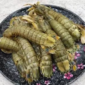 국내산 500g 냉동 갯가재