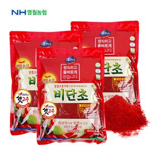 [영월농협] 25년산 청결고춧가루 비단초1kgx3봉