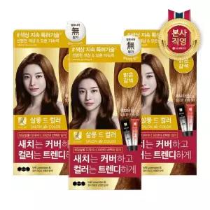 엘라스틴 살롱드컬러 염색약 100g 밝은갈색 x 3개