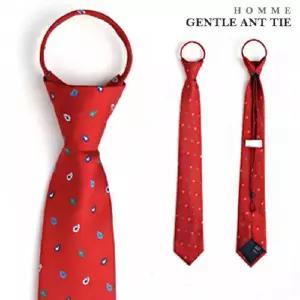 레드 페이즐리 자동넥타이 ga-1041