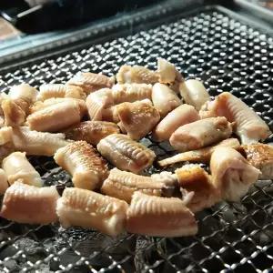 자갈치 완손질 생물 꼼장어 1kg