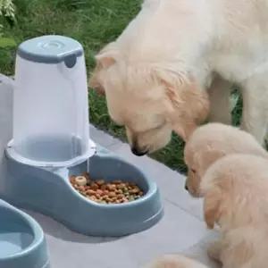 [반려] 강아지 반자동 급식기 3.5L 스틸블루 1P 미끄럼방지