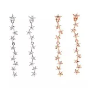 BS 별 은침 롱귀걸이