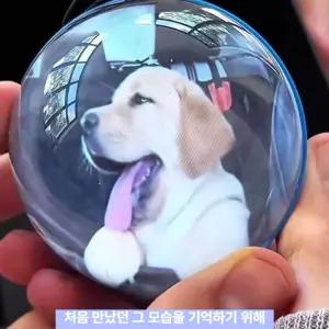 소울메모리볼 수정구슬 비디오볼 반려견 가족 크리스탈공 크리스탈볼 동영