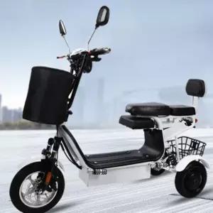 전기 세발 자전거 접이식 경량 가벼운 노인용 탑승 시장