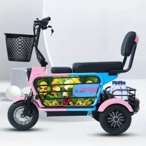 전기 세발 자전거 성인 마실 휴대용 강아지 충전 블랙