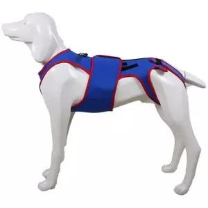 강아지 보조기 네오프렌 의료 보호대 강아지 허리 지지대 활동 플라스틱