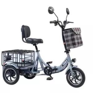 성인 전기자전거 노인 출퇴근용 세발 어르신 삼발이 1인