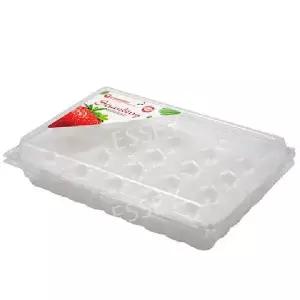 딸기 충전재 플라스틱 완충재 포장 내피 산지발송 100개 완충제 박스