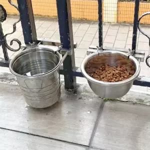 대형견스텐물그릇 스테인레스 밥그릇 식기 고양이