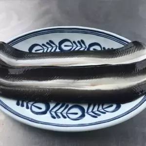 국내산 자포니카 민물장어 2미 손질후중량 650g