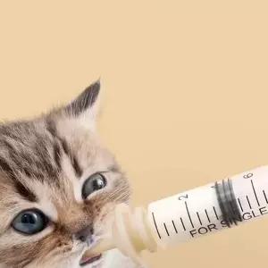 애완 피딩 주사기 반려동물 새끼 고양이 동물용 주사기 강아지 물약 액상 젖꼭지 실리콘 영양제 급식 젖병