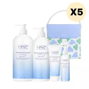 헤어플러스 보습 단백질 클리닉 샴푸 선물세트 단체 X5