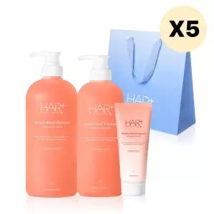 헤어플러스 모던피치 퍼퓸 단백질 샴푸 선물세트 X 5