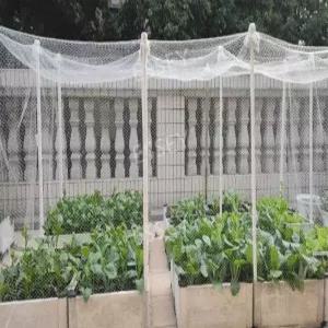 투명 새 정원 과수원 새보호 발코니 울타리 그물 메쉬 그물망