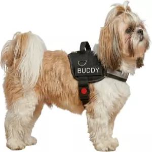 작은 강아지를 위한 페이튼 페리 개 하네스 초크 프리 반사형 조절 가능 패딩 처리 간편한 걷기 및 훈련용