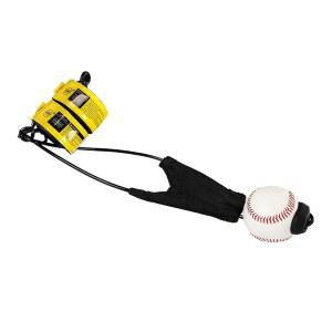 야구 및 소프트볼용 CEPHKY 타격 스윙 트레이너, 휴대용 초보자부터 프로까지 사용할 수 있는 개인 훈련 장비, 설정이 간편함