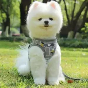 [반려] 산책줄 M 애견 그레이 리드줄 가슴줄