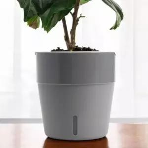 [알티피아]창문 포트 다육식물 윈도우 워터 화분 원형 저면관수